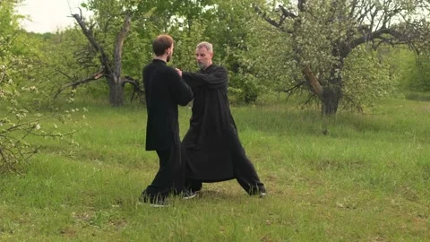Two men do Wushu exercises in the fresh air. Master and disciple of tai Chi Stock-Footage 131186245