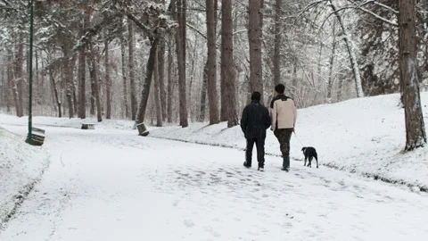 Two men with dog walking on trail while is snowing on cold winter day Vidéo 147122342