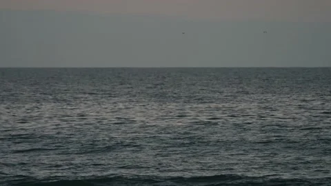 Two men on Electric surfboards speed by 4K Stock Footage 155419957