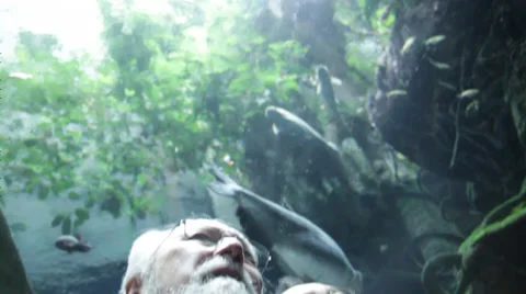 Two men exchange information in the aquarium Stock Footage 36160123
