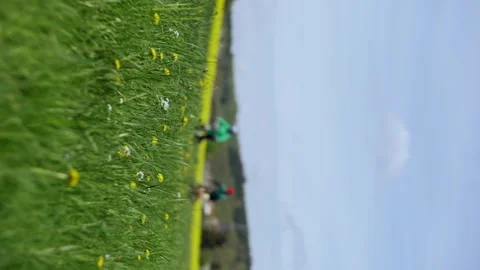 Two men, friends practising in cycling on road with summer field. Video stock 272997162