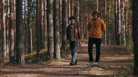 Two men friends strolls on forest footpath on sunny day Stock Footage