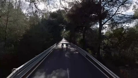 Two men going with bicycle trought the mountain Stock Footage 81516694