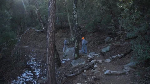 Two men hiking on a mountain trail through the forest Stock Footage 263855372