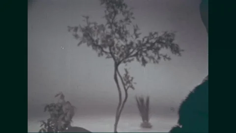 Two men hit each other in the head and make weird noises - 1960 Stock Footage 94255876