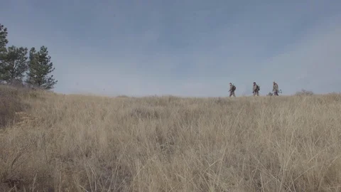 Two men hunting walking through grass field looking for deer Stock Footage 123394055