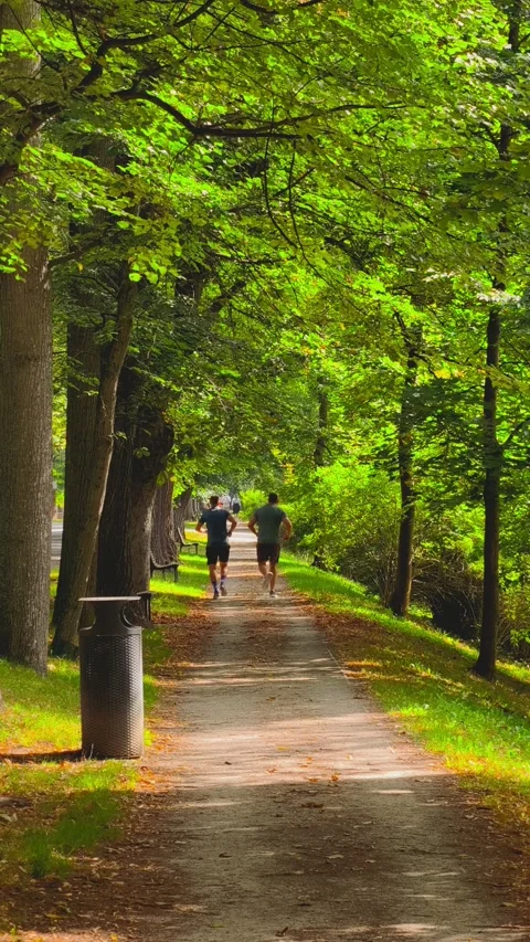 Two Men Jogging Along Shaded Park Path in Real Time 4K Vertical Video Stock-Footage 343925020