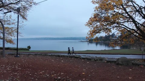 Two Men Jogging in Seattle's Seward Park Stock Footage 98946446