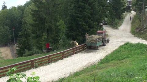 Two men loading hay in a tractor, mountains, meadow, pasture, animal feed Stock Footage 30873779