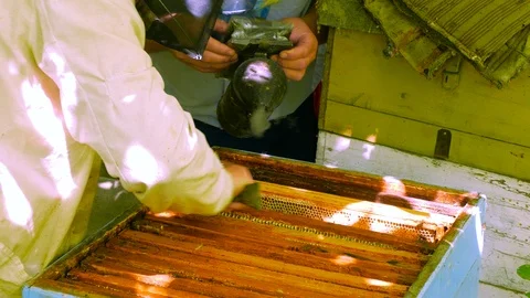 Two men open a bee hive 動画素材 123580028