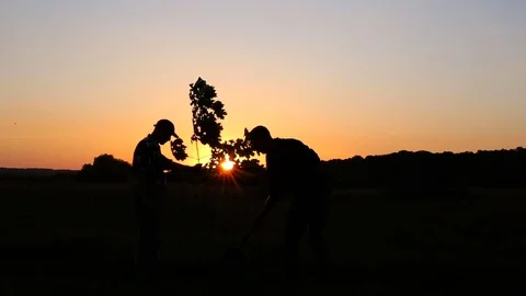 Two men planting tree during the sunset. Stock Footage 76212106