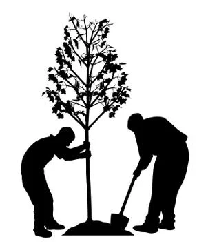 Two men planting a tree Stock Illustration