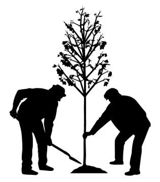 Two men planting a tree Stock Illustration
