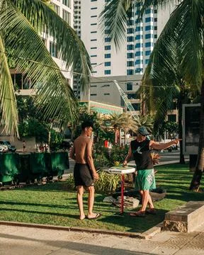Two men preparing a paddleboard on a grassy seaside promenade lined with palm Stock-Fotos