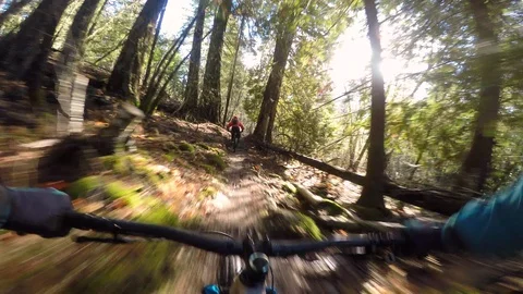 Two Men Racing Mountain Bikes Through A Forest At Sunset Vidéo 114507179
