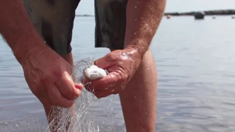 Two men retrieve small fish in fish net in a fish pond in Molokai Hawaii. Video stock 136258769