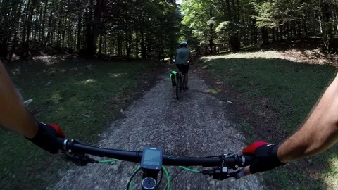 Two men ride bycicles fast down on a forest path, sunny summer morning POV Stock Footage 113284736