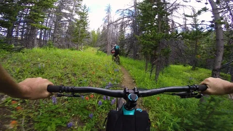 Two Men Riding Bikes In A Forest Full Of Wild Flowers Stock-Footage 115097013