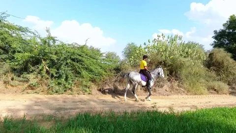Two Men Riding Horses In An Open Grass Field - Drone Footage Stock Footage 90110104