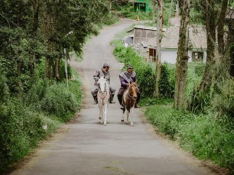 Two men riding horses Stock Photos