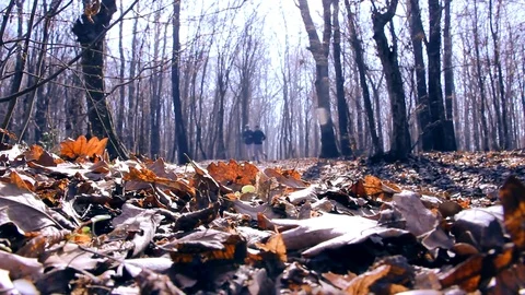 Two men running in an autumn day Stock Footage 78225840