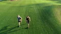 The two men running on the grass in a beautiful park 4k or 4k+ Resolution