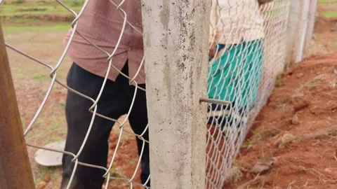 Two men secure chain link mesh on farming land Stock Footage 311627855