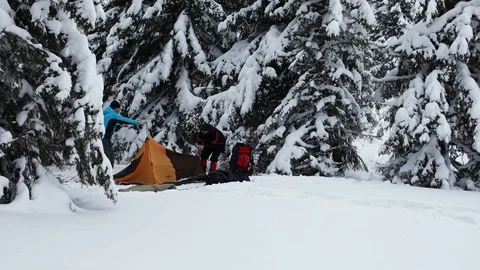 Two men set up a tent among snowy trees. Stock Footage 123088699