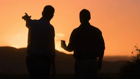Two men shake hands at dawn and point to horizon while holding phone Video stock 114601470