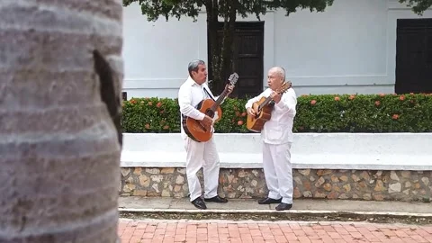 Two men singing and playing an acoustic guitar Stock Footage 303036528