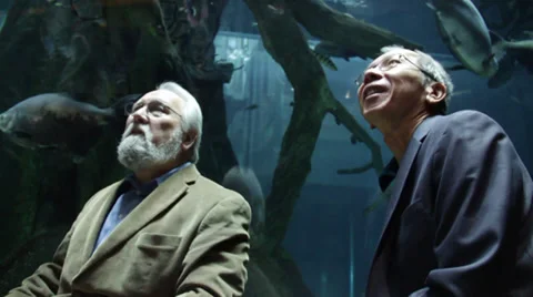 Two men sit in front of an Aquarium and admires the fishes Stock Footage 36165676