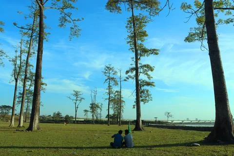 Two men sitting and looking towards sky and trees Stock Photos
