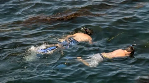 TWO MEN SNORKEL IN THE OCEAN Stock Footage 8578168