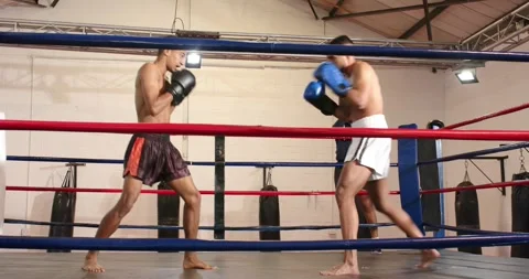 Two men sparring in boxing ring, guard raising and kick knocking opponent down, Stock Footage 336844347