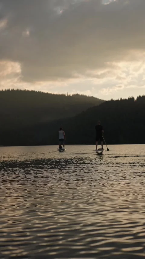 Two men on stand up paddle board doing water sport on a mountain lake at sunset Stock Footage 251797513
