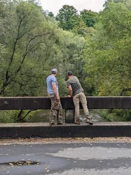 Two men stand on the side of a bridge looking over a forest creek Stock Photos