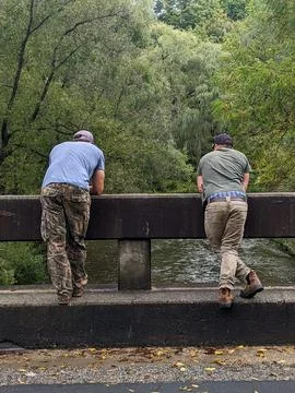Two men stand on the side of a bridge looking over a forest creek Stock Photos