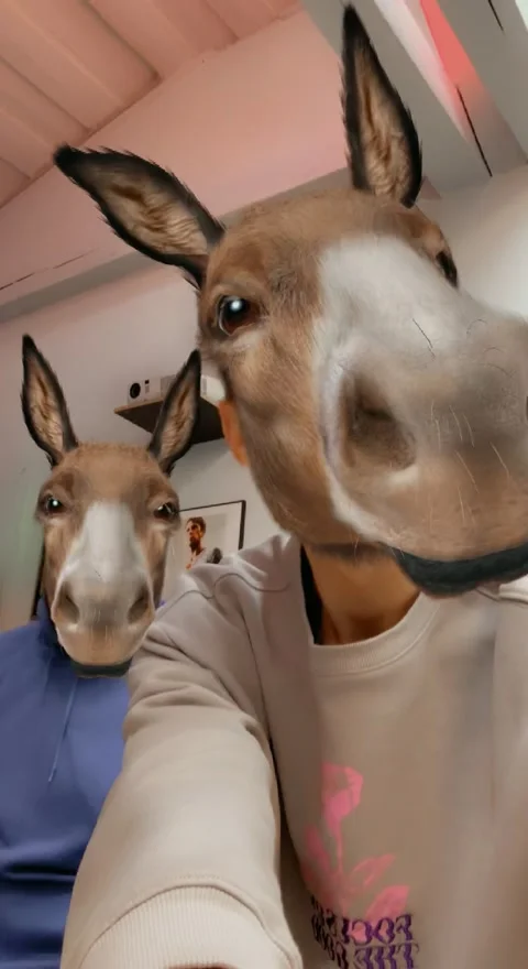 Two men take video selfies by adding augmented reality masks to their faces Stock Footage 234521494