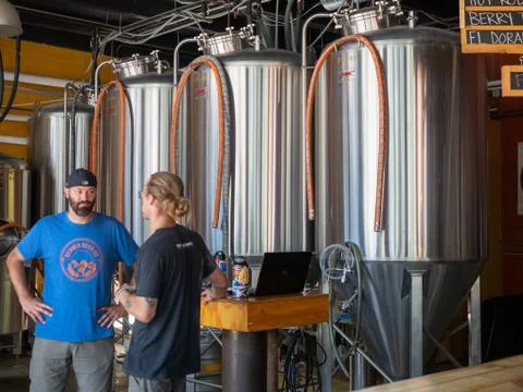 Two men talking in front of fermentation tanks at a brewery Foto stock