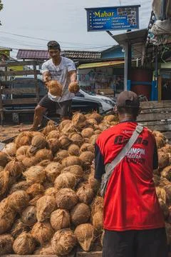 Two men teaming up to unload the coconut fruit from the truck to the seller. Stock Photos