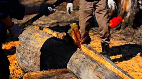 Two men try to split logs Video stock 38244354