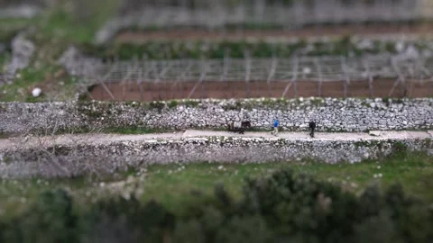 Two men walking along a mountain trail with a donkey. Stock Footage 304668095