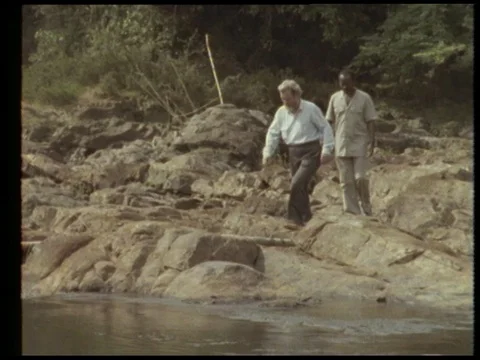 Two men walking on bridge in rainforest and talking, 1990 Stock Footage 136672613