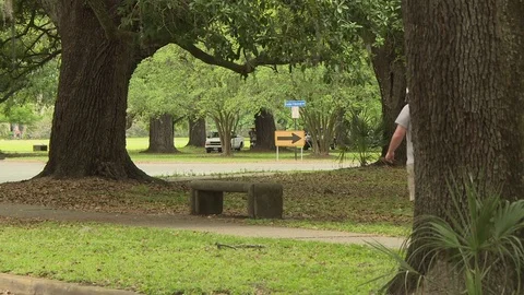 Two men walking in city park Stock Footage 84510555