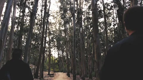 TWO MEN WALKING IN THE FOREST Stock Footage 94231576