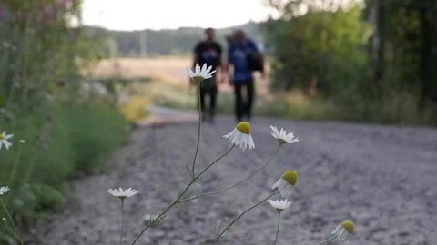 Two men walking in the middle of a rural road. Stock Footage 235886183