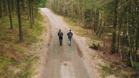 Two men walking on a road in the forest Stock Footage 146802429