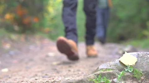 Two men walking through the forest Stock Footage 50065932