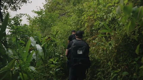 Two Men Walking Through Tropical Forest with Large Backpack 4K Stock Footage 267048267