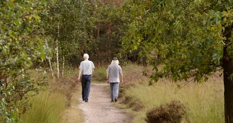 Two men walking together in nature heath and wood, the Netherlands,  Europe 4K Stock Footage 106385229